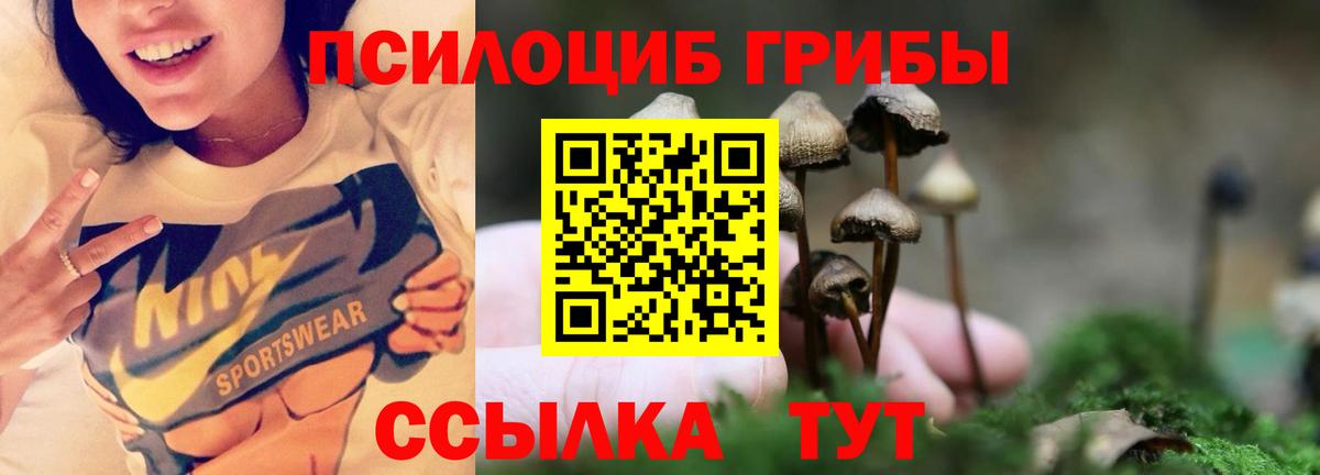 как найти закладки  Псилоцибиновые грибы Psilocybe  Тельмана  Вход с VPN  Галлюциногенные грибы GOLDEN TEACHER 